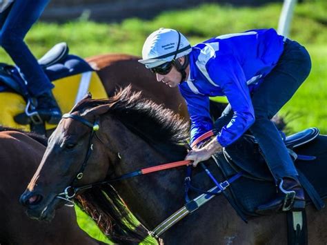 Punting Pointers: Barrier Trials .